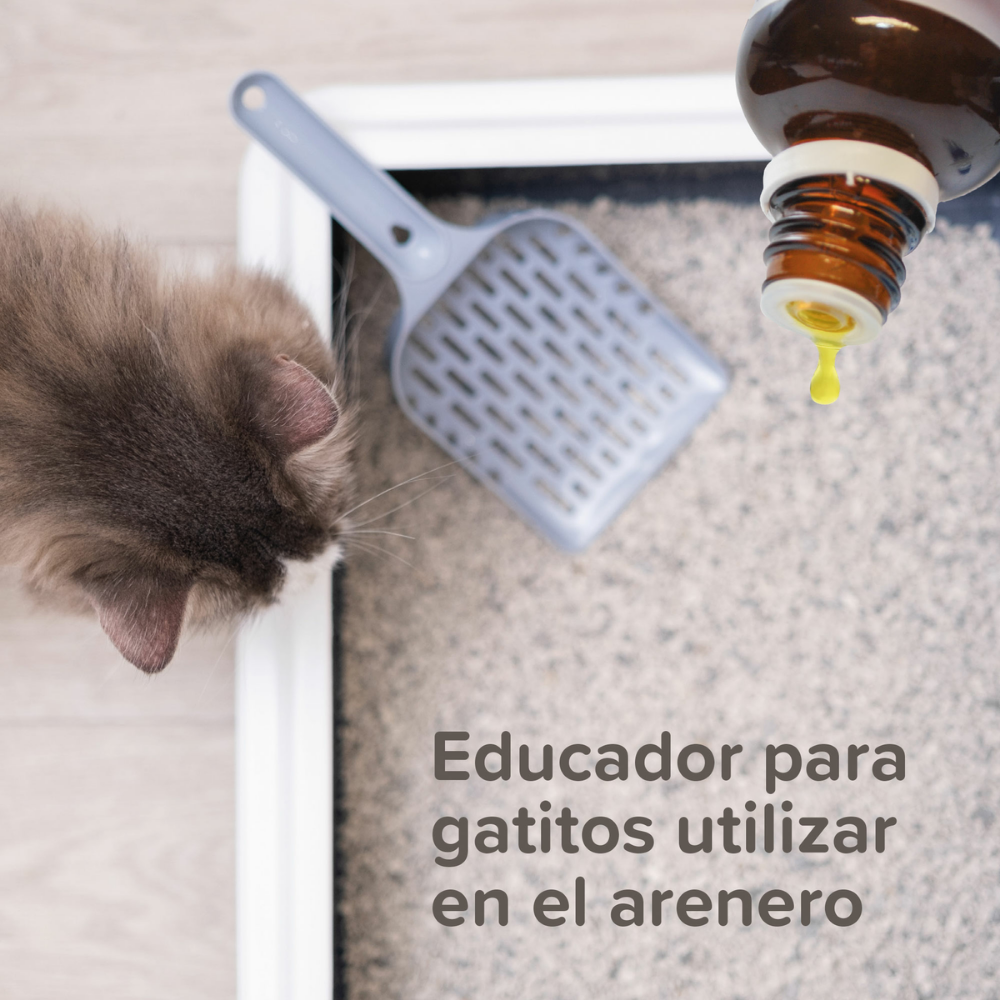 Beaphar Cat Trainer 10 ml al mejor precio -Todoanimal.es