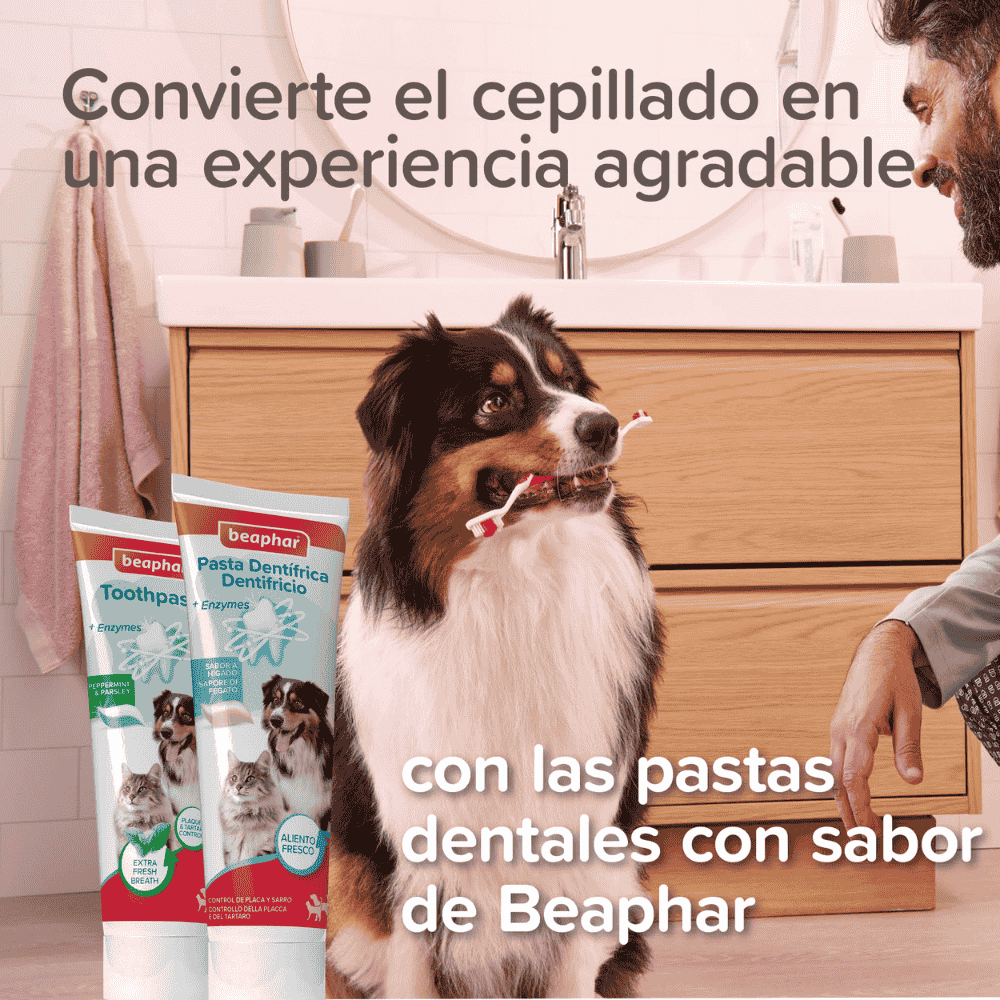 Beaphar Cepillo de Dientes Ecológico de Bambú con Doble Cabezal para Perros y Gatos al mejor precio -Todoanimal.es