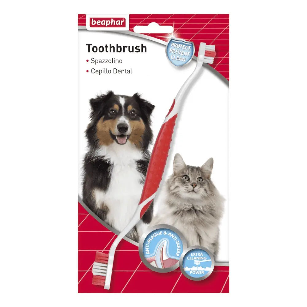 Beaphar Cepillo de Dientes para Perros y Gatos de Todas las Razas al mejor precio -Todoanimal.es