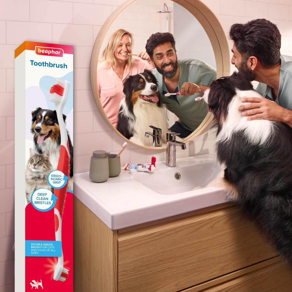 Beaphar Cepillo de Dientes para Perros y Gatos de Todas las Razas al mejor precio -Todoanimal.es