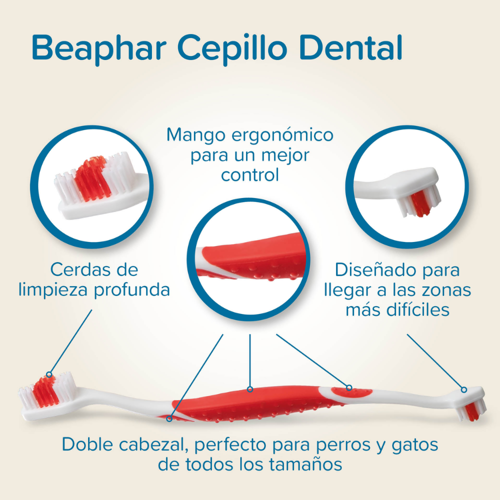 Beaphar Cepillo de Dientes para Perros y Gatos de Todas las Razas al mejor precio -Todoanimal.es