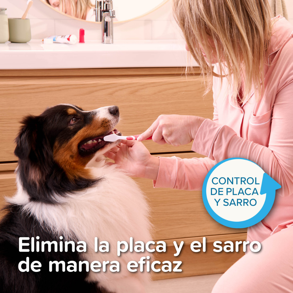 Beaphar Cepillo de Dientes para Perros y Gatos de Todas las Razas al mejor precio -Todoanimal.es
