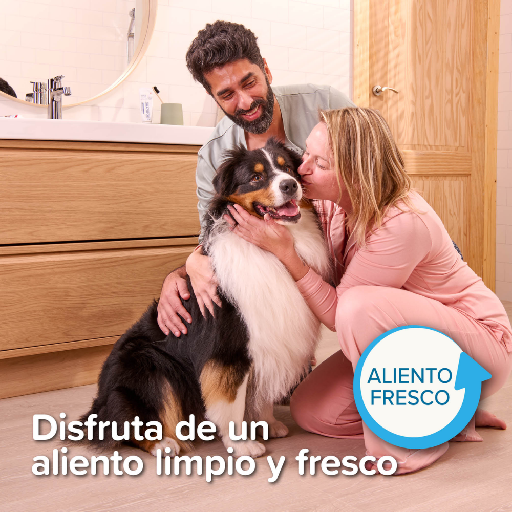 Beaphar Cepillo de Dientes para Perros y Gatos de Todas las Razas al mejor precio -Todoanimal.es