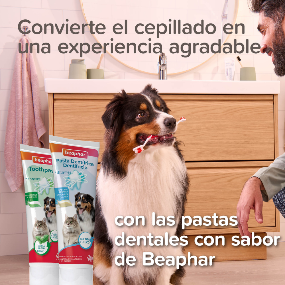 Beaphar Cepillo de Dientes para Perros y Gatos de Todas las Razas al mejor precio -Todoanimal.es
