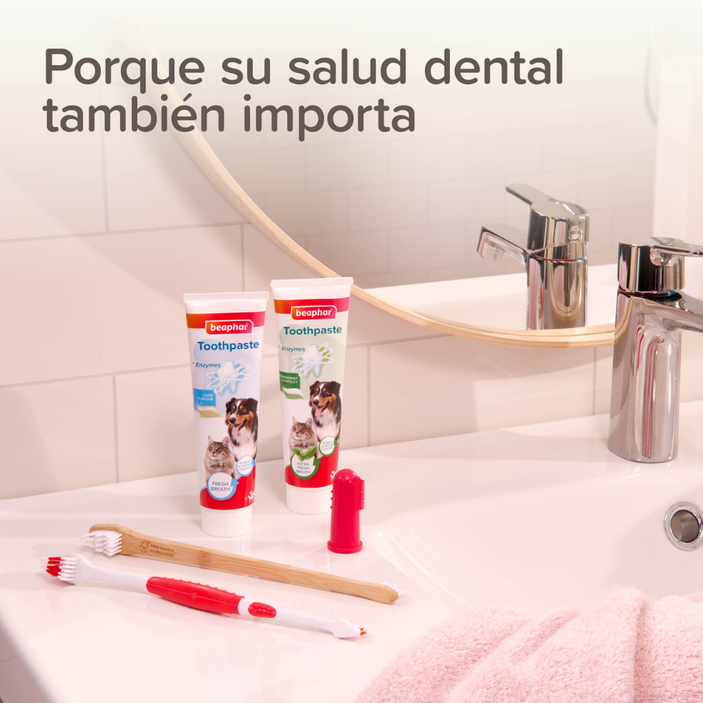 Beaphar Cepillo de Dientes para Perros y Gatos de Todas las Razas al mejor precio -Todoanimal.es
