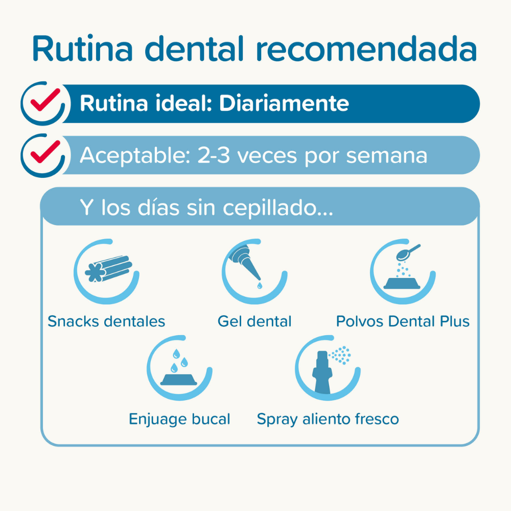 Beaphar Cepillo de Dientes para Perros y Gatos de Todas las Razas al mejor precio -Todoanimal.es