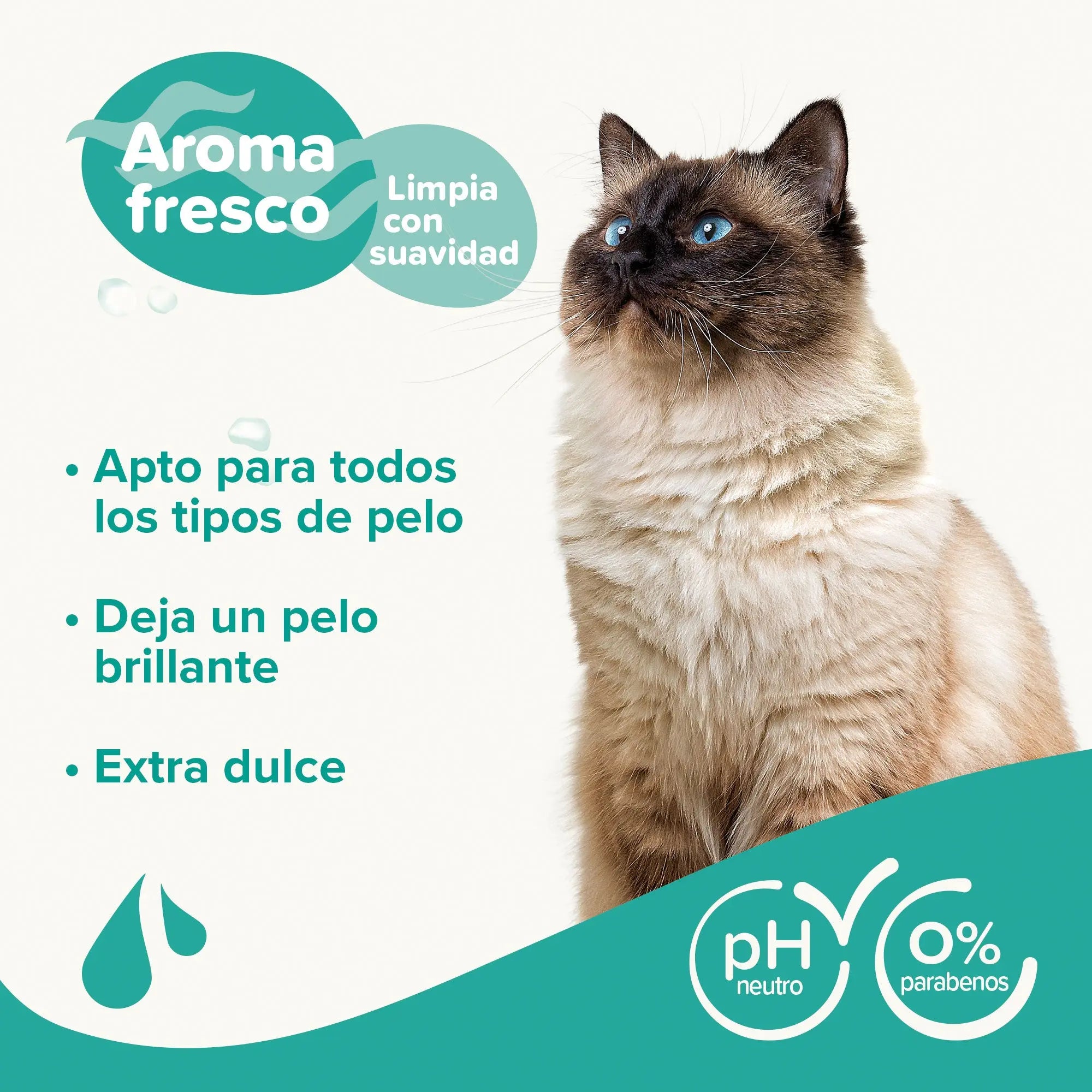 Beaphar Champú Extra Suave para Gatos con Aceite de Macadamia y Aloe Vera - 250 ml BEAPHAR