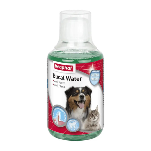 Beaphar Enjuague Bucal para Perros 250 ml Aliento Fresco y Antiplaca al mejor precio -Todoanimal.es