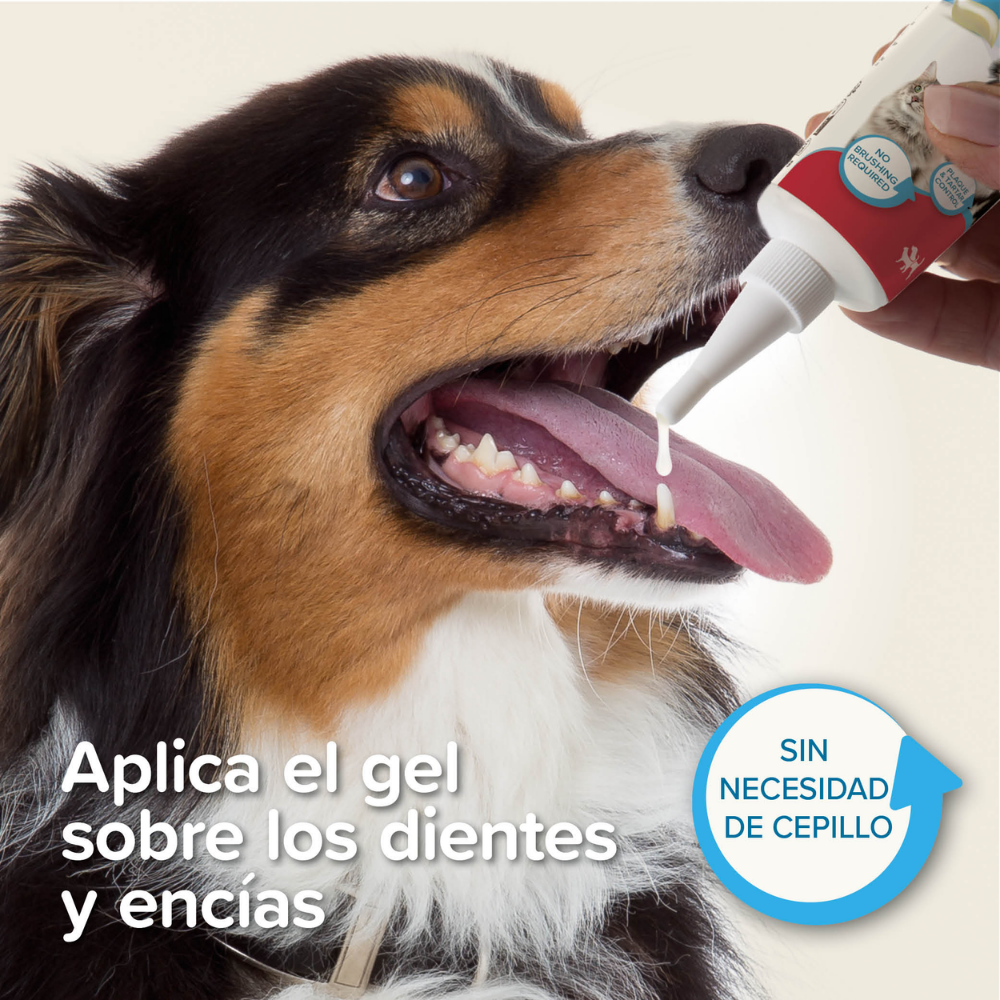 Beaphar Gel Dentífrico Sabor Carne Sin Cepillado para Perros y Gatos 100 g al mejor precio -Todoanimal.es