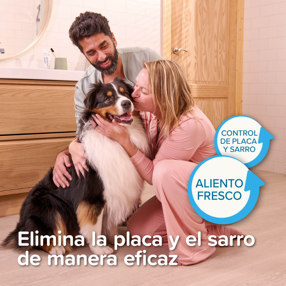 Beaphar Gel Dentífrico Sabor Carne Sin Cepillado para Perros y Gatos 100 g al mejor precio -Todoanimal.es