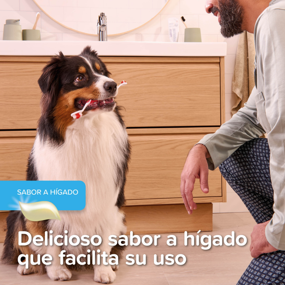 Beaphar Gel Dentífrico Sabor Carne Sin Cepillado para Perros y Gatos 100 g al mejor precio -Todoanimal.es