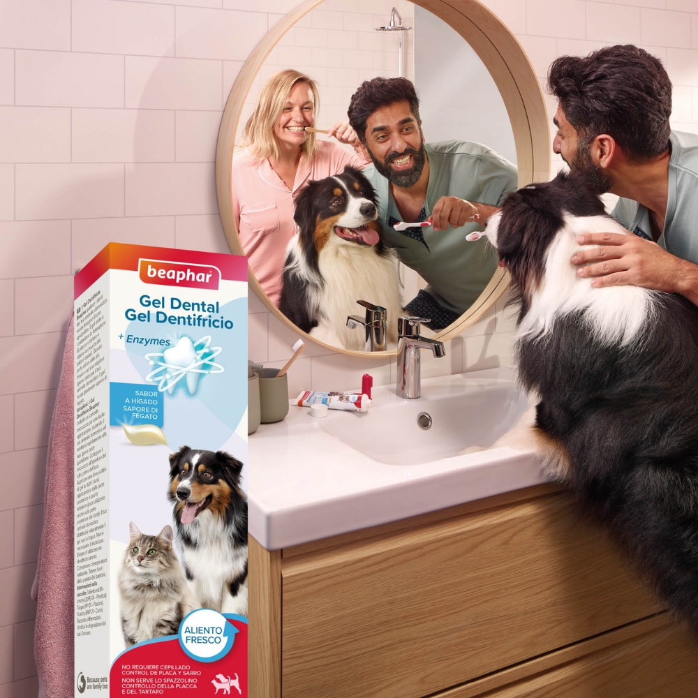 Beaphar Gel Dentífrico Sabor Carne Sin Cepillado para Perros y Gatos 100 g al mejor precio -Todoanimal.es