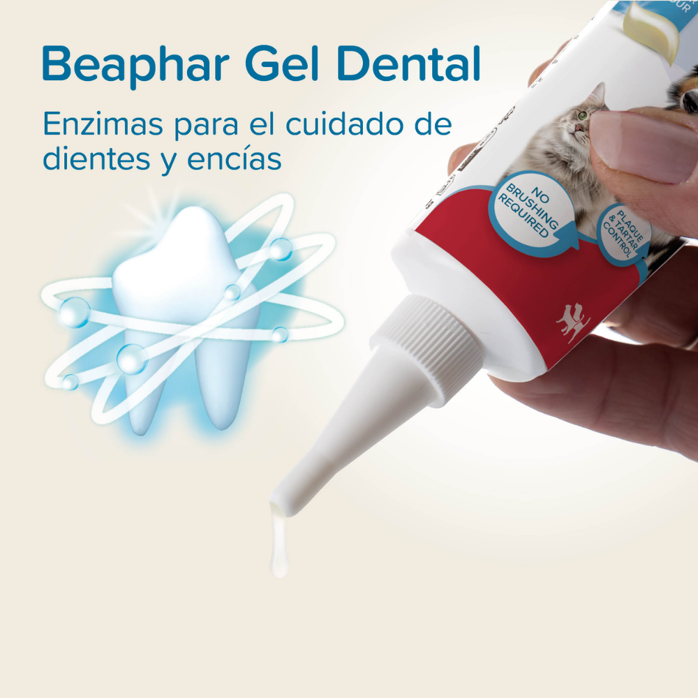 Beaphar Gel Dentífrico Sabor Carne Sin Cepillado para Perros y Gatos 100 g al mejor precio -Todoanimal.es
