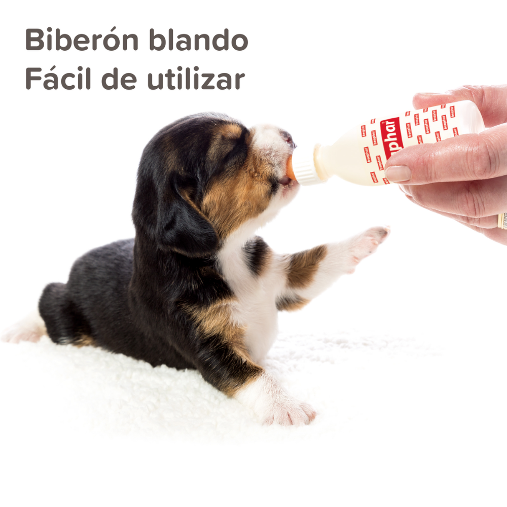 Beaphar Kit Lactol Biberon + 4 Tetinas + Limpiador al mejor precio -Todoanimal.es