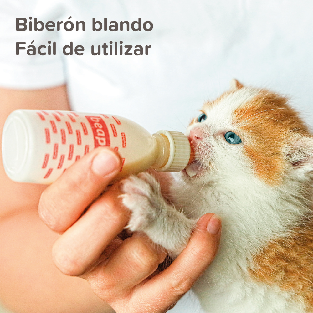 Beaphar Kit Lactol Biberon + 4 Tetinas + Limpiador al mejor precio -Todoanimal.es
