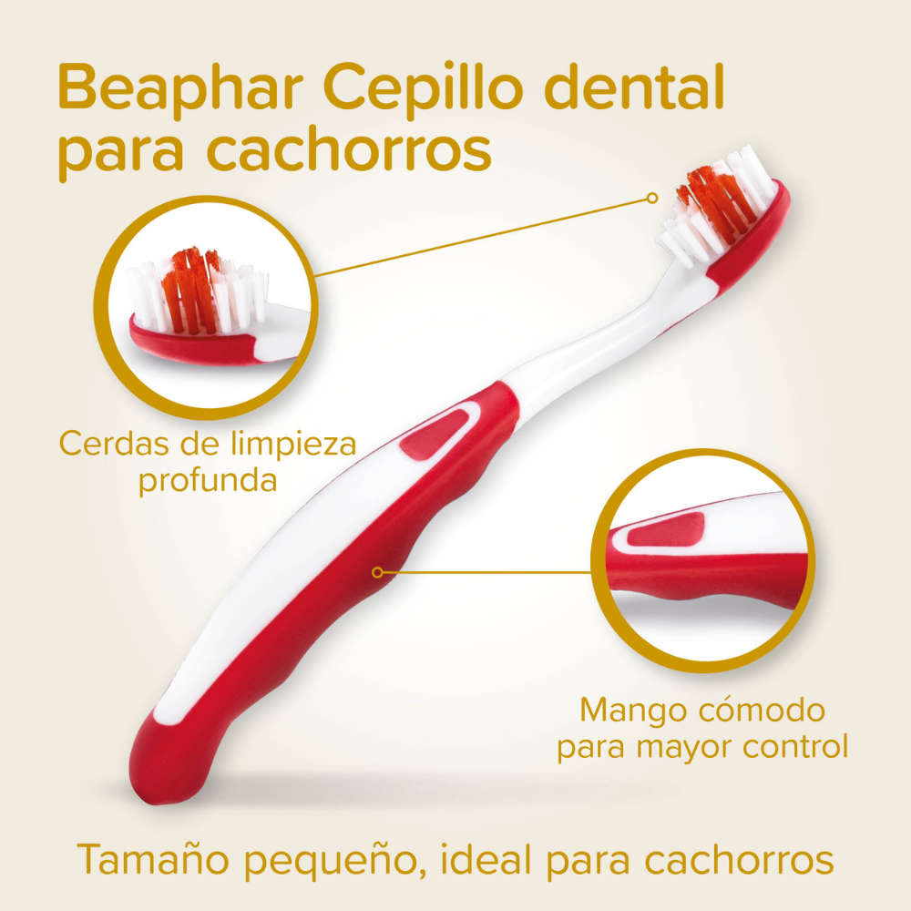Beaphar Pack Dental para Cachorros | Pasta de Dientes + Cepillo + Cepillo de Dedo al mejor precio -Todoanimal.es