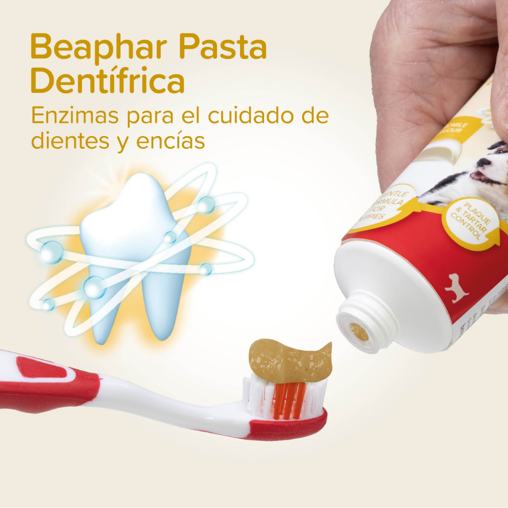 Beaphar Pack Dental para Cachorros | Pasta de Dientes + Cepillo + Cepillo de Dedo al mejor precio -Todoanimal.es