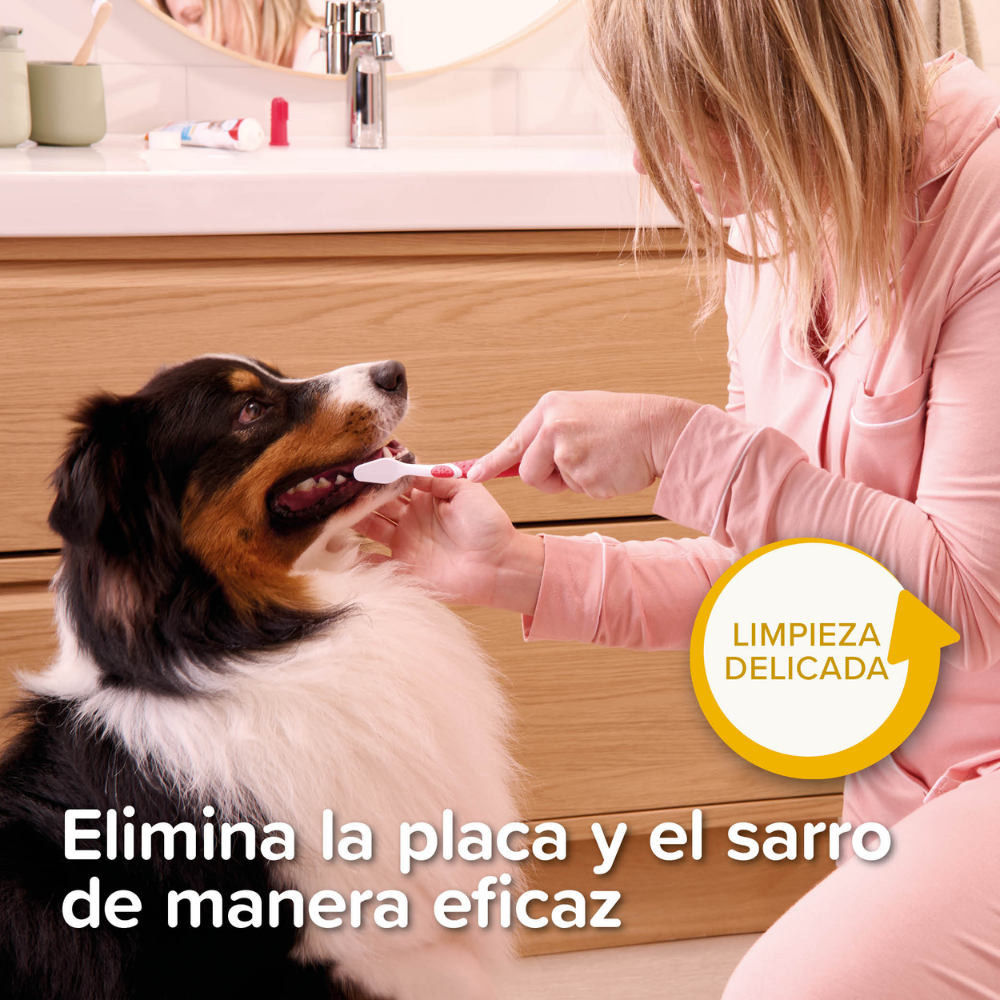 Beaphar Pack Dental para Cachorros | Pasta de Dientes + Cepillo + Cepillo de Dedo al mejor precio -Todoanimal.es