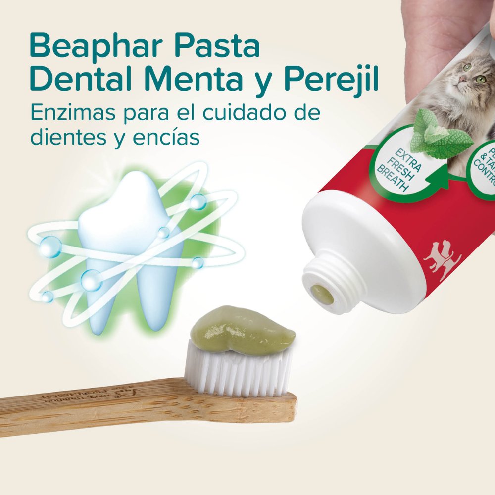 Beaphar Pasta de Dientes Sabor Menta y Perejil 100 g para Perros y Gatos al mejor precio -Todoanimal.es