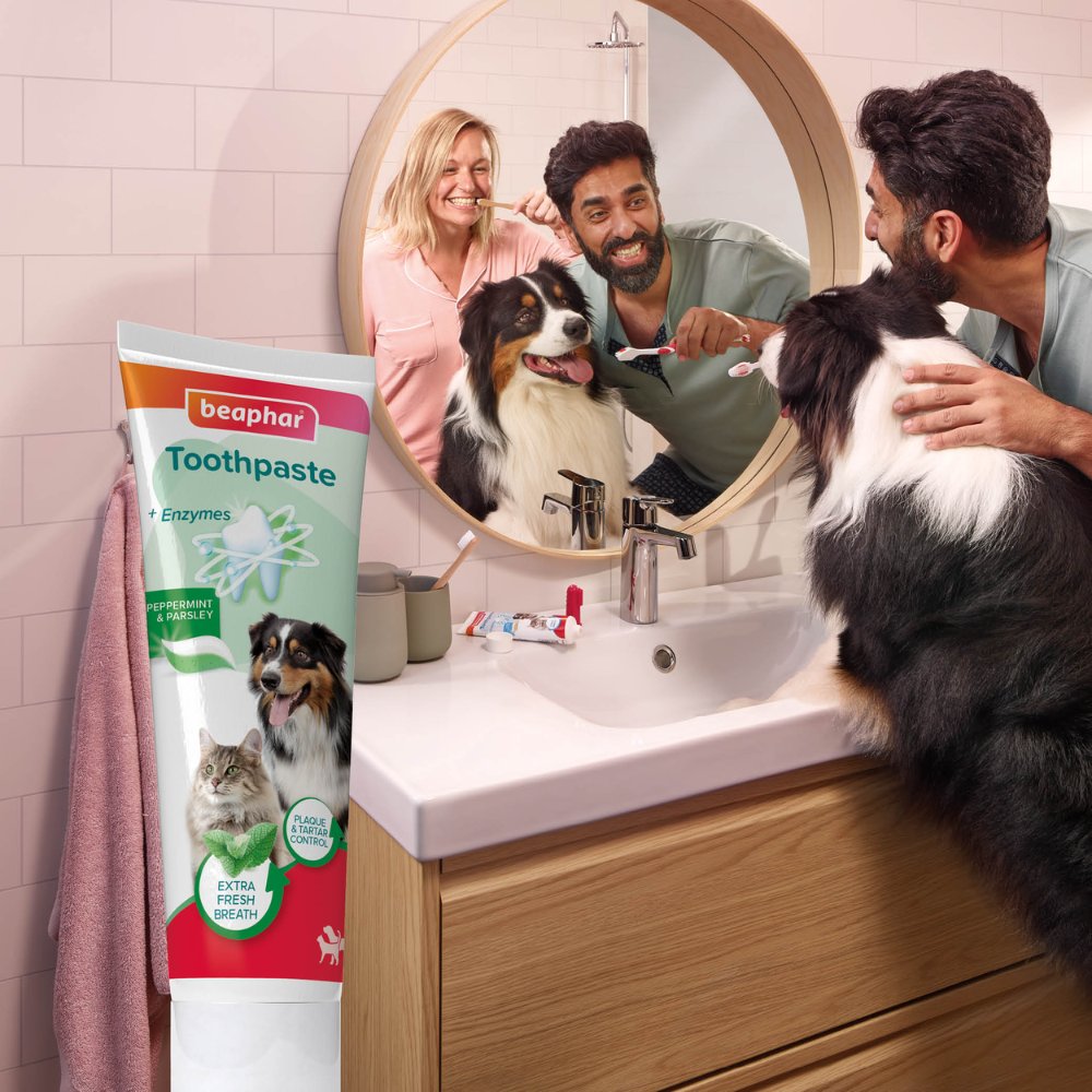 Beaphar Pasta de Dientes Sabor Menta y Perejil 100 g para Perros y Gatos al mejor precio -Todoanimal.es