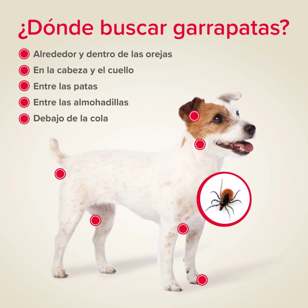 Beaphar Pinza Quita Garrapatas para Perros y Gatos al mejor precio -Todoanimal.es