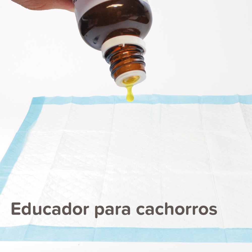 Beaphar Puppy Trainer Educador 20 ml al mejor precio -Todoanimal.es