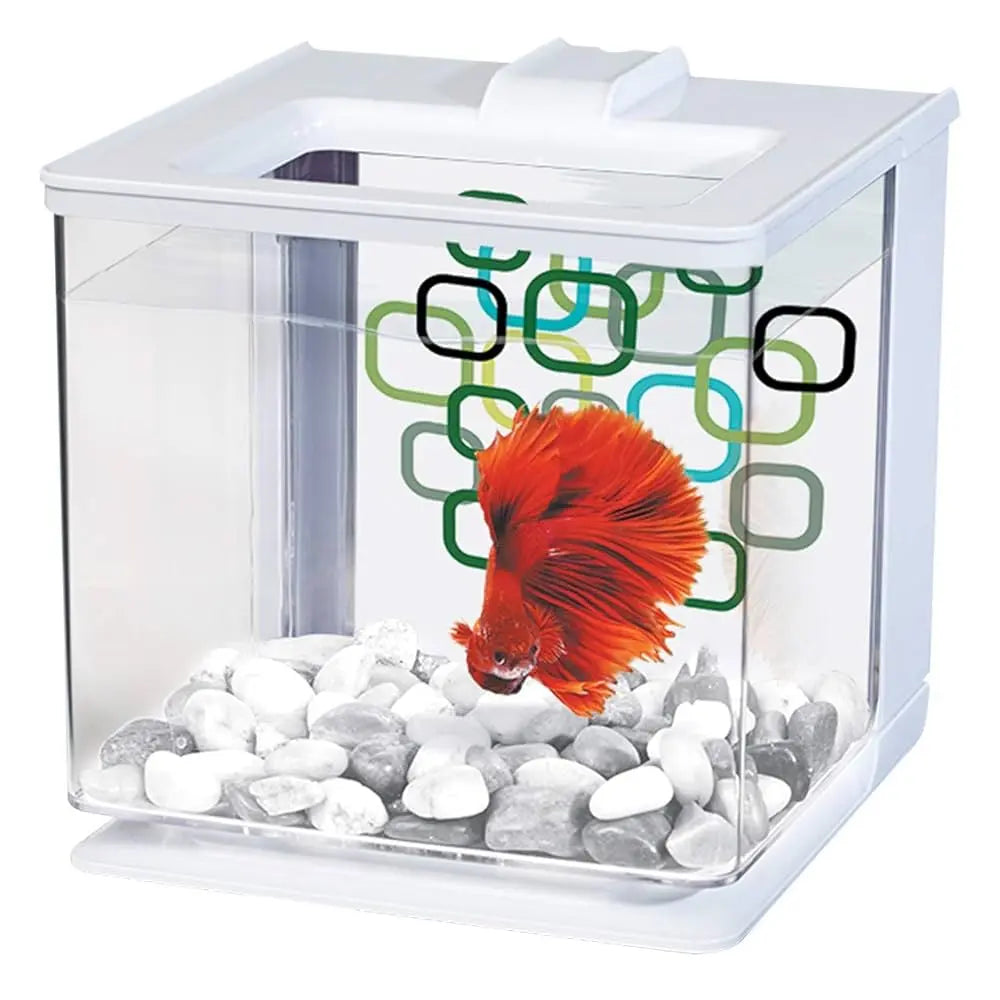 Bettera Ez Care 2.5Lts Marina al mejor precio -Todoanimal.es