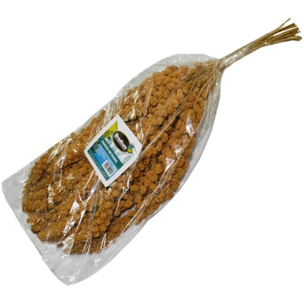 Bradium Panizo en Rama Mijo Francés al mejor precio -Todoanimal.es