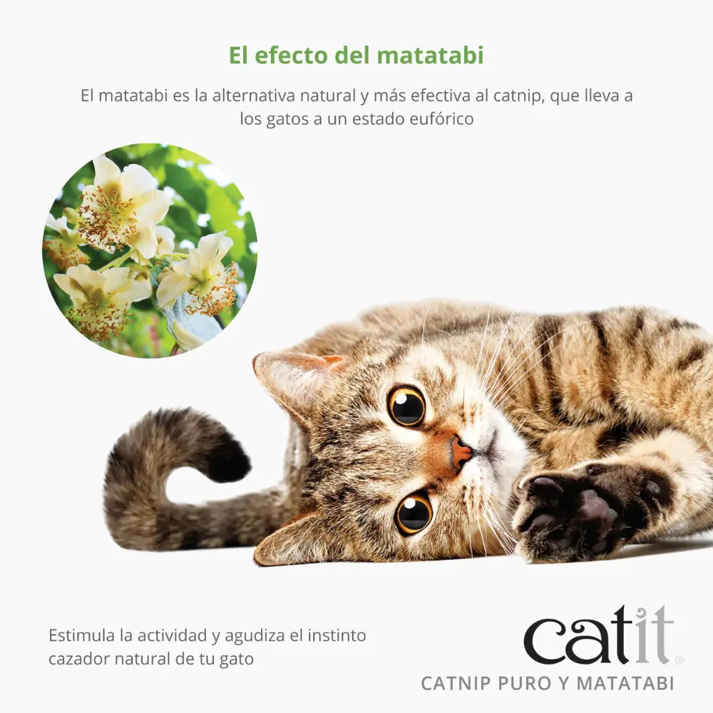 Catit Mezcla de Catnip y Matatabi Secos 28 g al mejor precio -Todoanimal.es