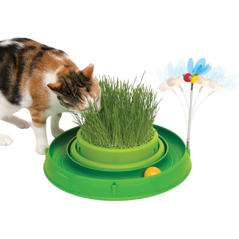 Catit Play Juguete Interactivo Circuitos Germinador Gatos al mejor precio -Todoanimal.es