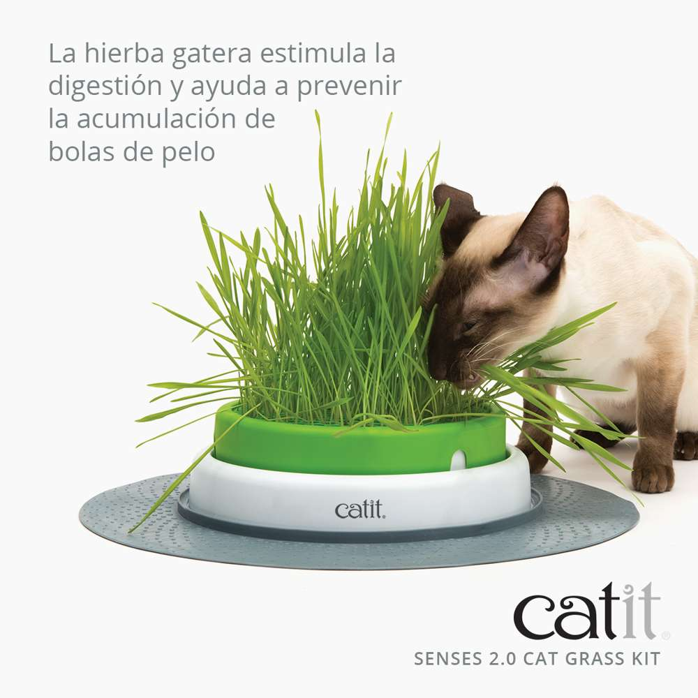 Catit Senses 2.0 Cat Grass Kit 3Pc Recarga al mejor precio -Todoanimal.es