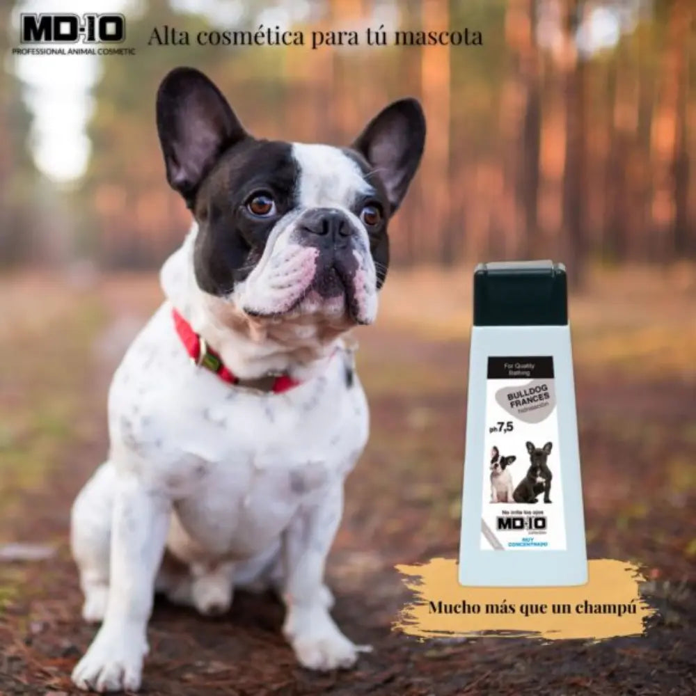Champú Bulldog Frances 300Cc Md10 al mejor precio -Todoanimal.es