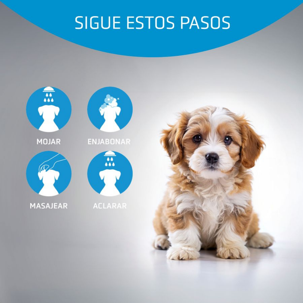 Champú Perro Baby 250 ml Artero al mejor precio -Todoanimal.es
