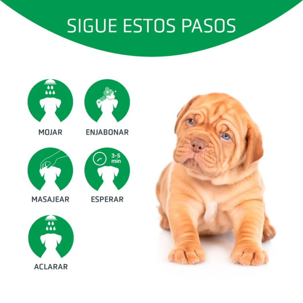 Champú Perro Bye Bye 250 ml Artero al mejor precio -Todoanimal.es