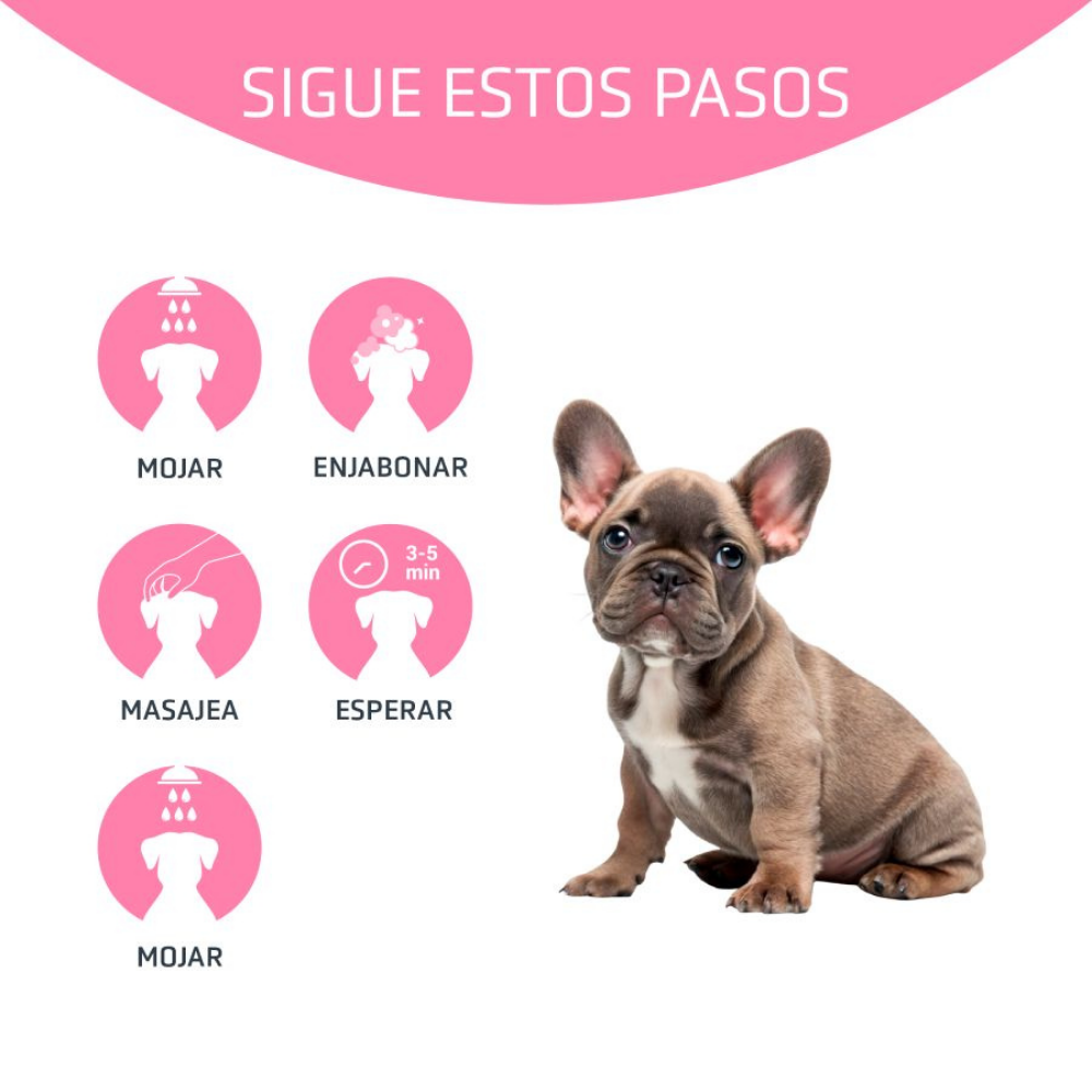 Champú Perro Relax 250 ml Artero al mejor precio -Todoanimal.es