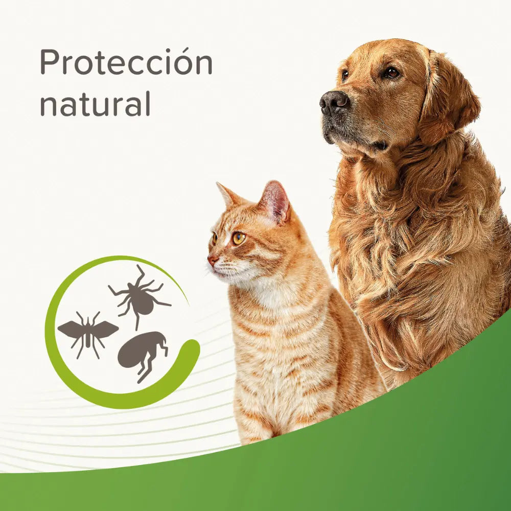 Champú Repulsivo Antiparasitario al mejor precio -Todoanimal.es