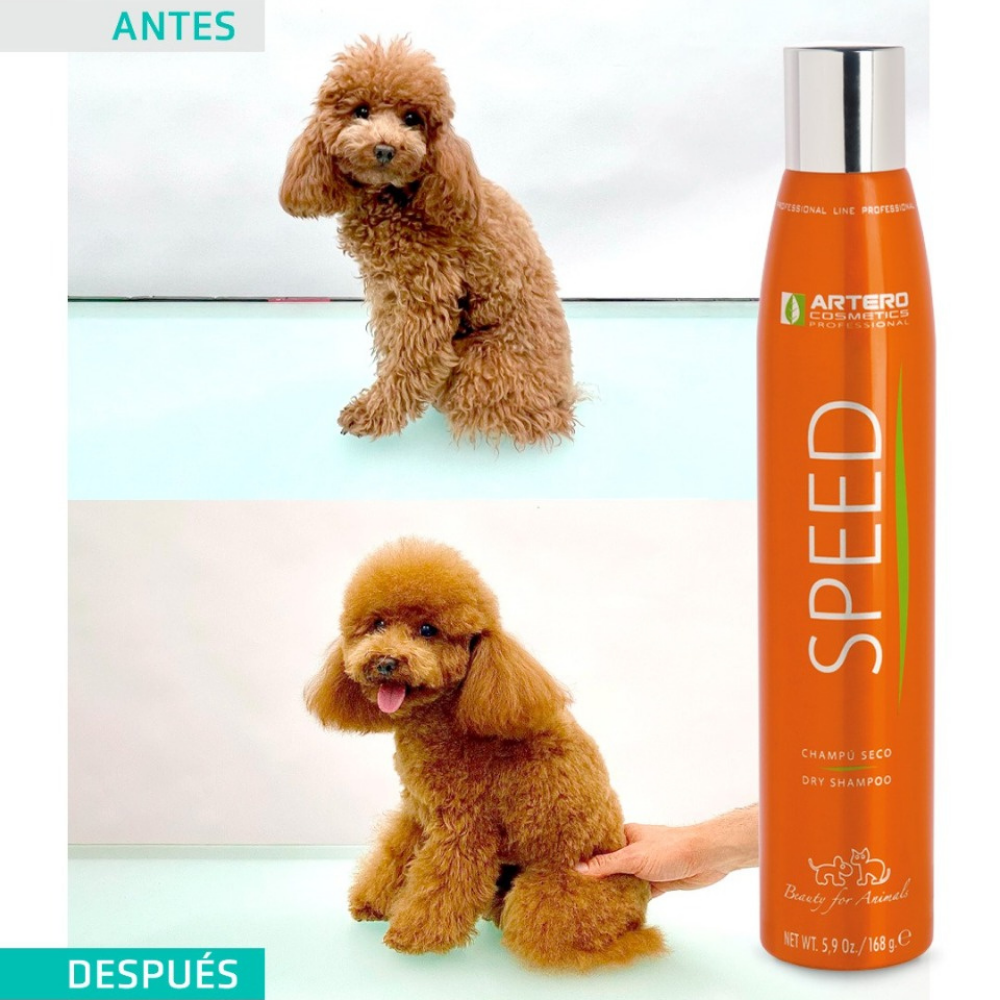 Champú Seco Higiene Speed 300 ml Artero al mejor precio -Todoanimal.es
