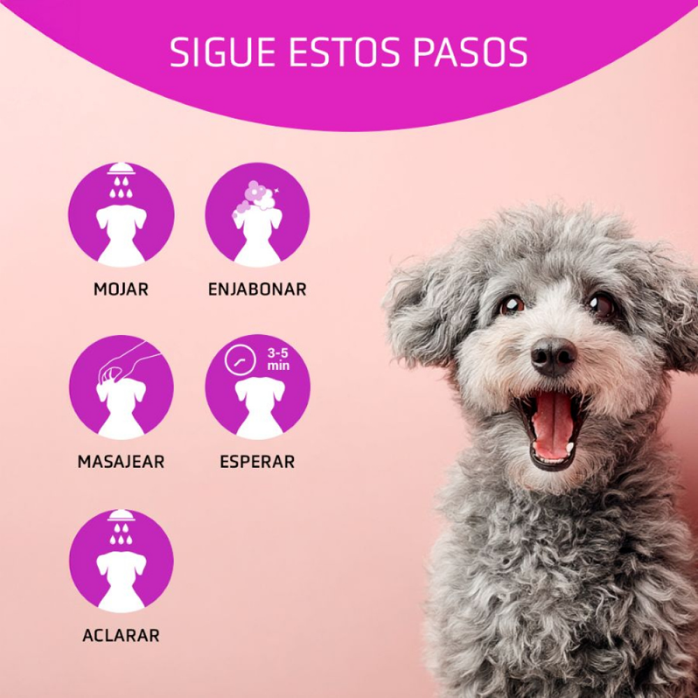 Champú Vitalizante 250 ml Artero al mejor precio -Todoanimal.es