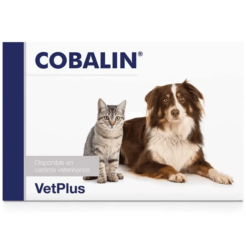 Cobalin 60 Cápsulas Vitamina B12 y B9 (Ácido Fólico) Complemento para Perros y Gatos al mejor precio -Todoanimal.es