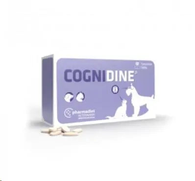Cognidine 60 Udes. (Sistema Nervioso) - Precios Más Baratos - Todoanimal