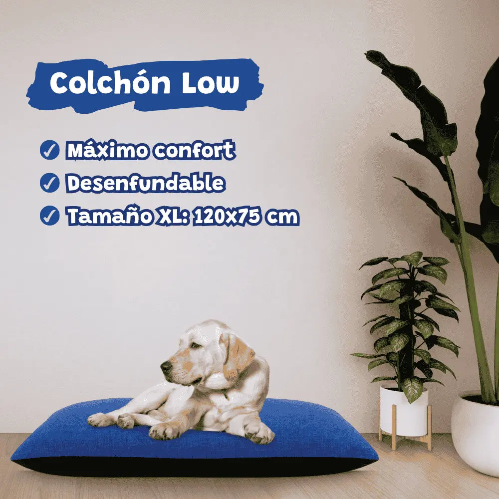 Colchón Low Desenfundable para Perros Yagu al mejor precio -Todoanimal.es