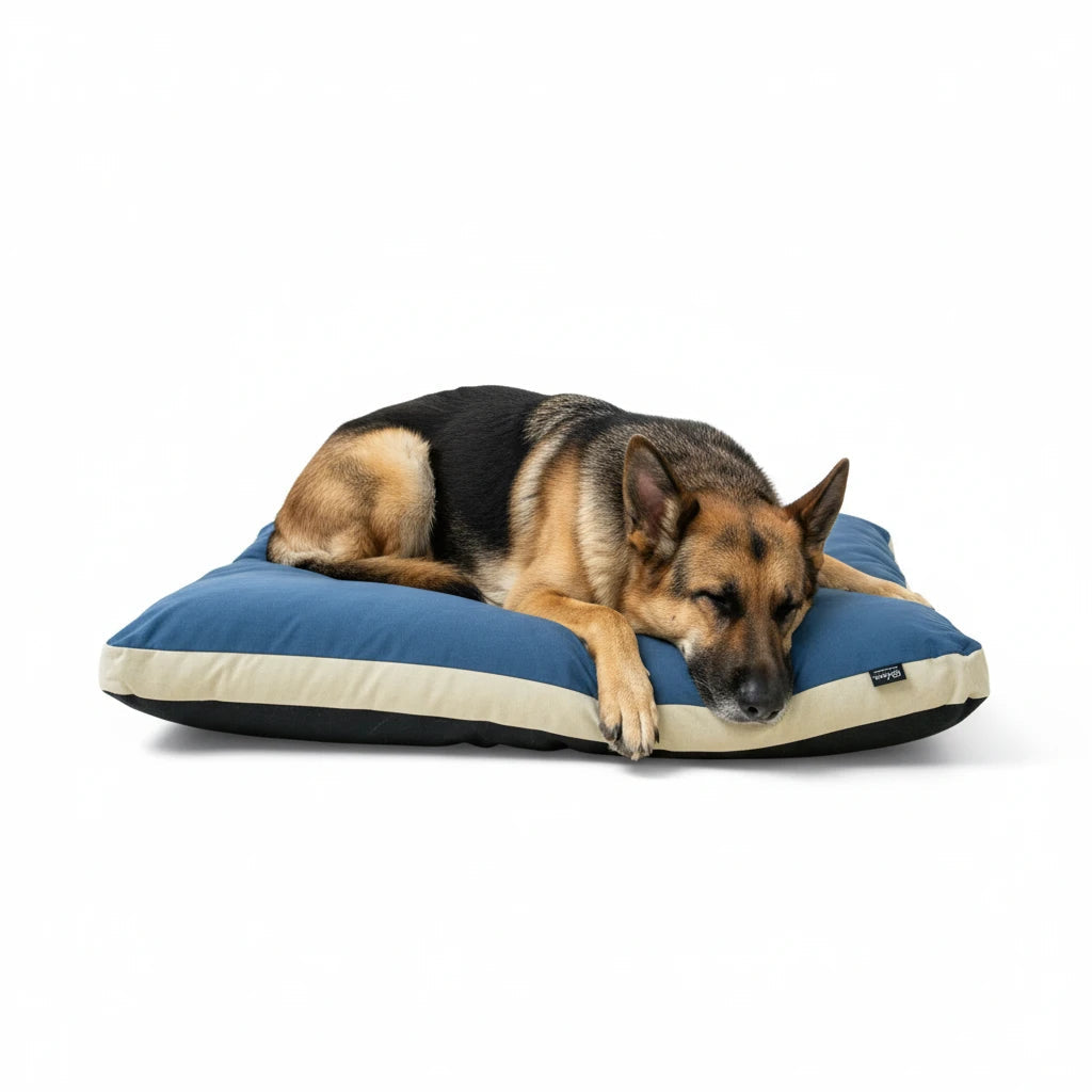 Colchón para Perros Matt Welova al mejor precio -Todoanimal.es