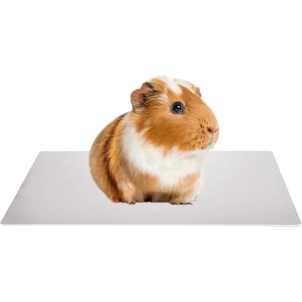 Colchoneta Refrigerante Alu Para Roedor L 30X20X0,2 cm al mejor precio -Todoanimal.es