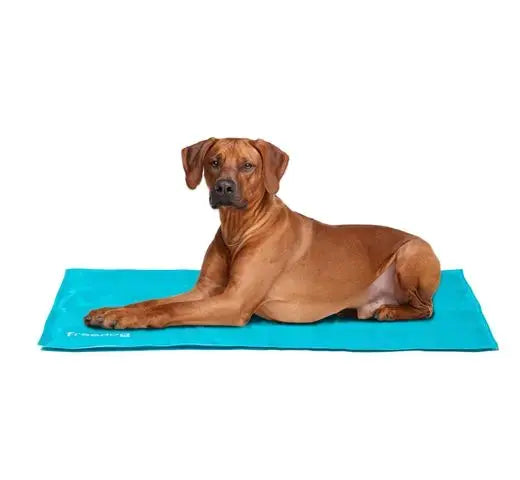 Colchoneta Refrigerante Azul 70X110Cm - Precios Más Baratos - Todoanimal