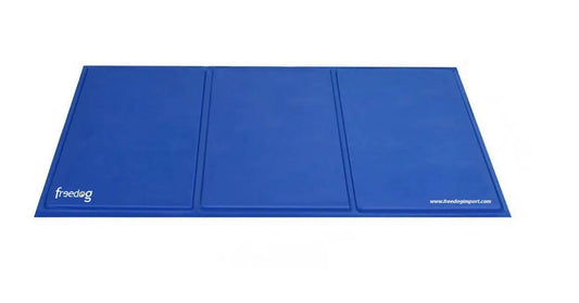 Colchoneta Refrigerante Espuma Azul 50X65Cm Reciclada