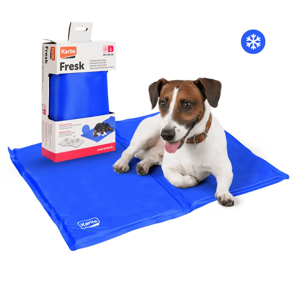 Colchoneta Refrigerante para Perros | Manta Gel Frío Alfombrilla para Mascotas al mejor precio -Todoanimal.es