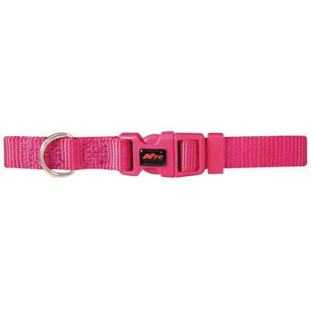 Collar Basic Azul 20Mm X 40-55Cm NAYECO, S.L.