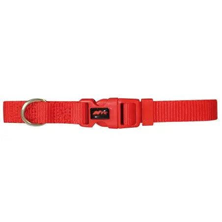 Collar Basic Fucsia 20Mm X 40-55Cm NAYECO, S.L.