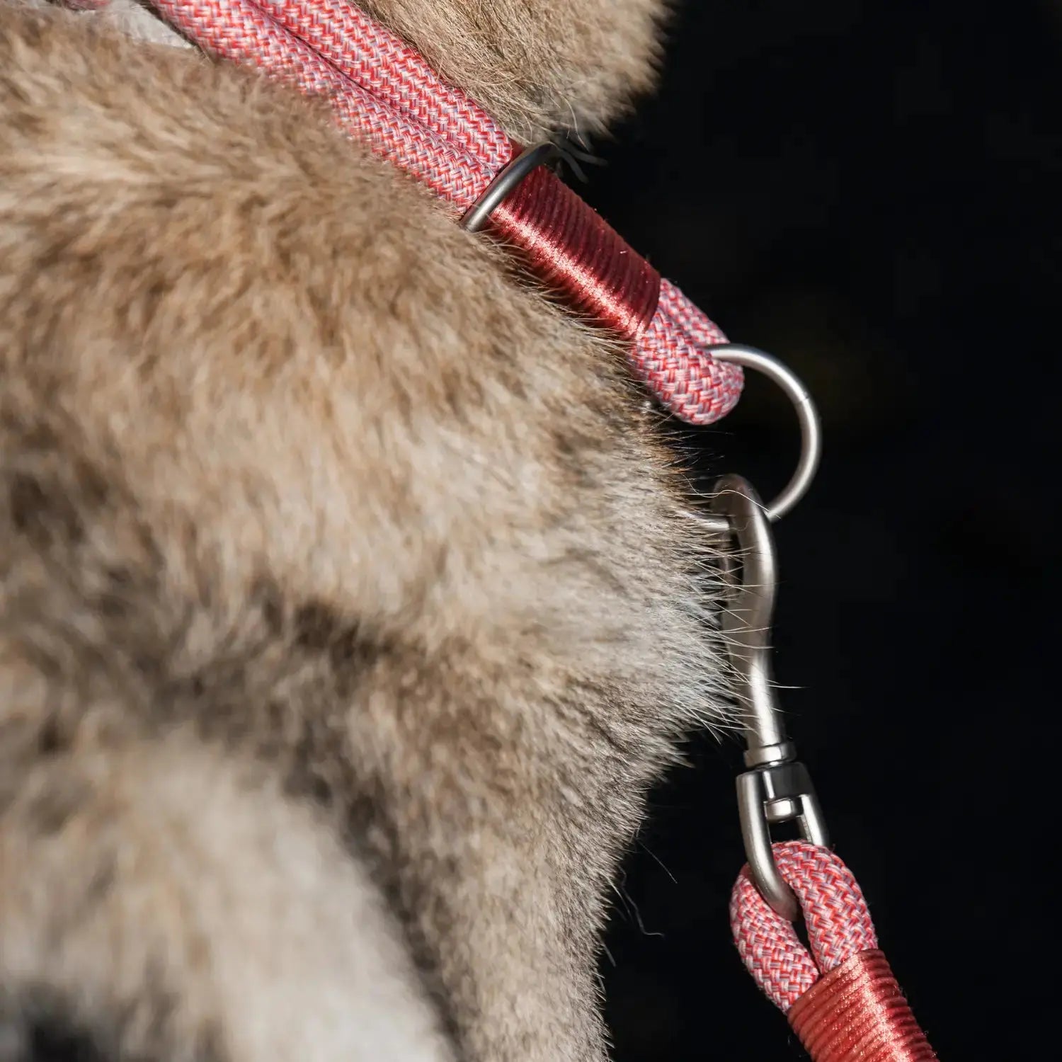 Collar Craft Round Recycled Freedog FREEDOG IMPORT, S. L.