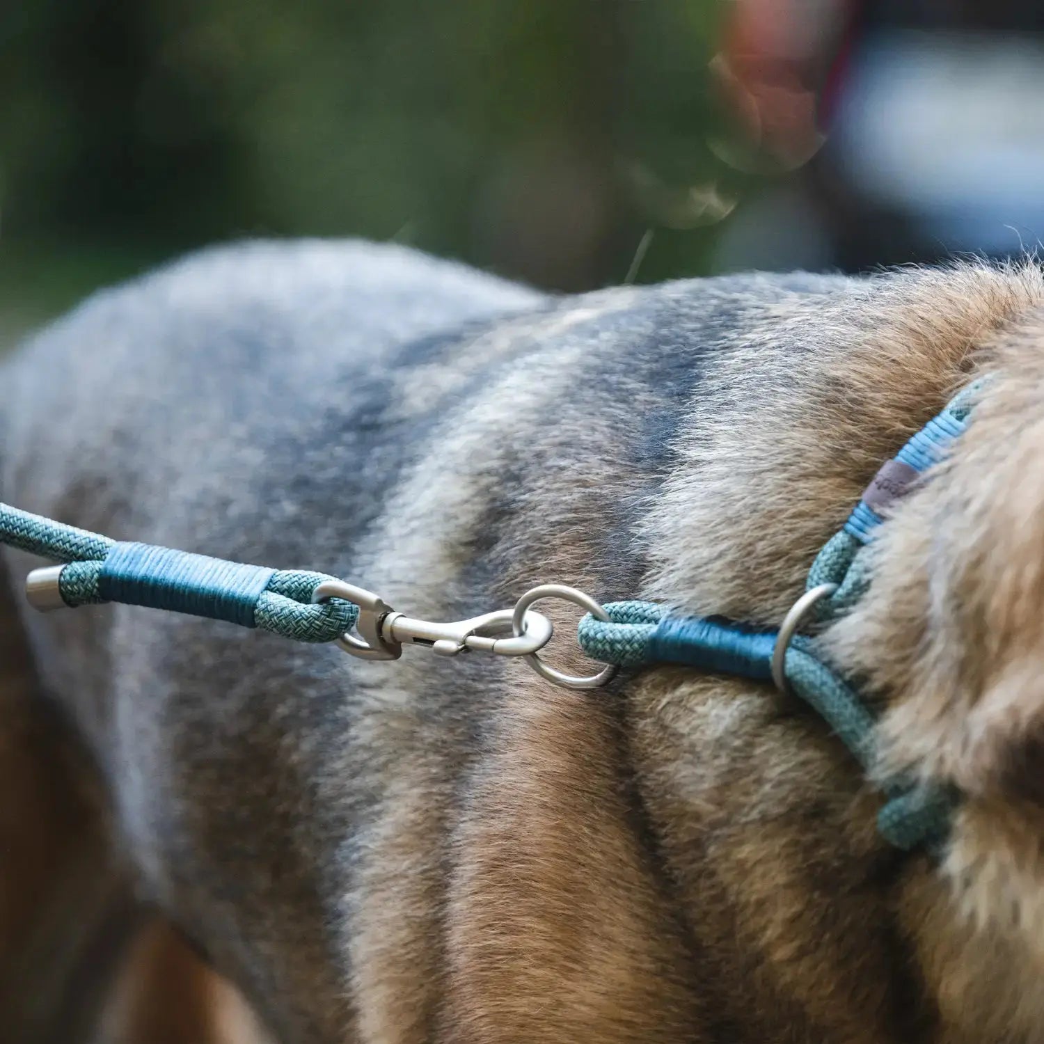 Collar Craft Round Recycled Freedog FREEDOG IMPORT, S. L.